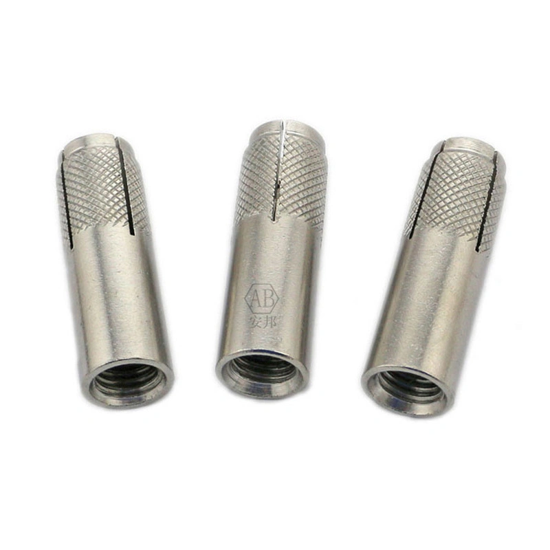 Manufacturer 304 316 Stainless Steel M12 10mm 12mm DIN Standard Half Knurled Drop in Anchor