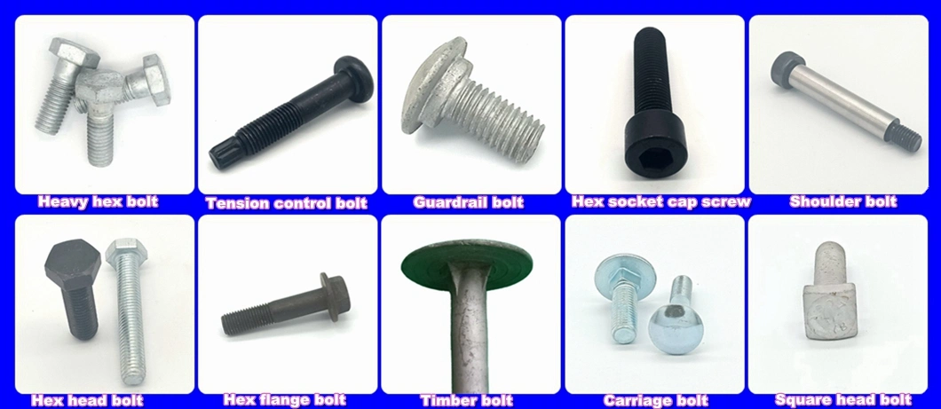 Sturdy Steel Special Thread Reusable and Durable Screw on Concrete