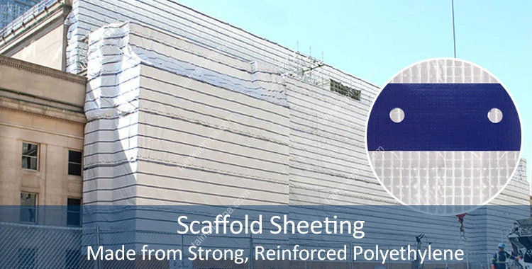 String Reinforced Poly Sheeting with White Eyelet Bands